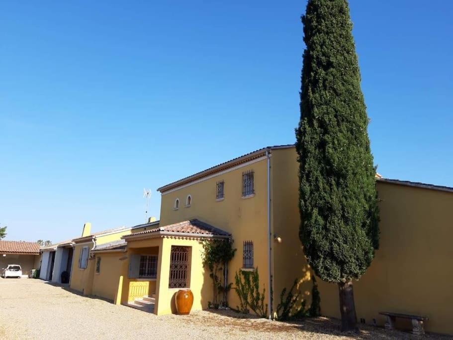 Apartment Lumineux Deux Pieces En Rez De Jardin Hyères