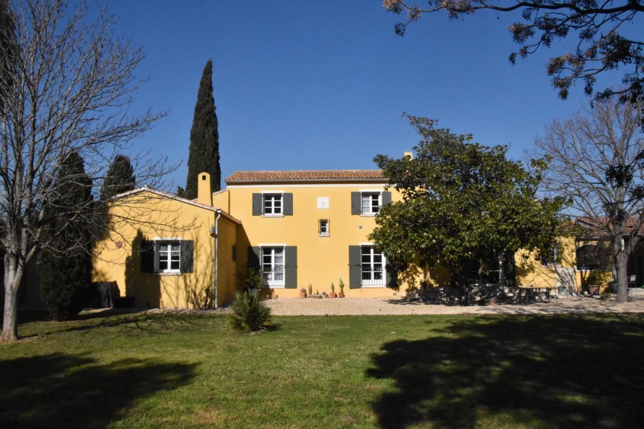 Apartment Lumineux Deux Pieces En Rez De Jardin Hyères